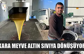 Kara meyve altın sıvıya dönüşüyor