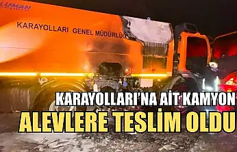 Karayolları'na ait kamyon alevlere teslim oldu