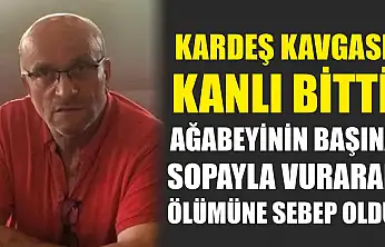 Kardeş kavgası kanlı bitti: Ağabeyinin başına sopayla vurarak ölümüne sebep oldu