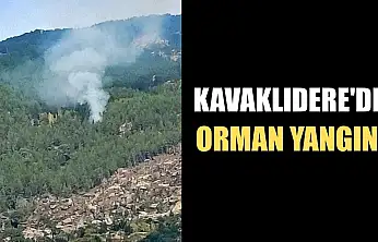 Kavaklıdere'de orman yangını