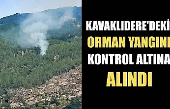 Kavaklıdere'deki orman yangını kontrol altına alındı