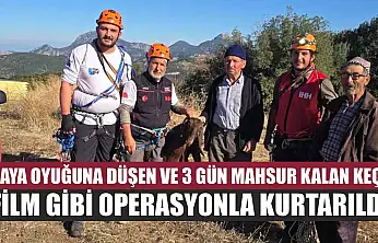 Kaya oyuğuna düşen ve 3 gün mahsur kalan keçi, film gibi operasyonla kurtarıldı