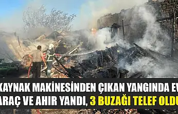 Kaynak makinesinden çıkan yangında ev, araç ve ahır yandı, 3 buzağı telef oldu