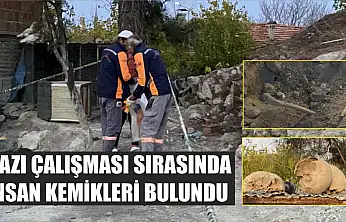 Kazı çalışması sırasında insan kemikleri bulundu