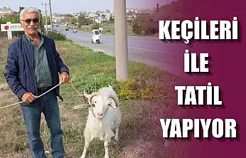 Keçileri ile tatil yapıyor
