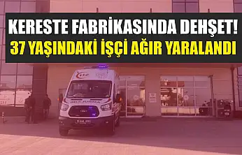 Kereste Fabrikasında Dehşet! 37 Yaşındaki İşçi Ağır Yaralandı