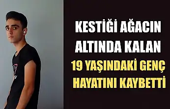 Kestiği ağacın altında kalan 19 yaşındaki genç hayatını kaybetti