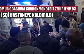 Kömür ocağında karbonmonotsit zehirlenmesi: 7 işçi hastaneye kaldırıldı