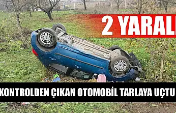 Kontrolden çıkan otomobil tarlaya uçtu: 2 yaralı