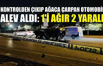 Kontrolden çıkıp ağaca çarpan otomobil alev aldı: 1'i ağır 2 yaralı