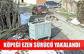 Köpeği ezen sürücü yakalandı