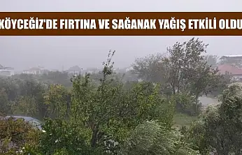 Köyceğiz'de fırtına ve sağanak yağış etkili oldu