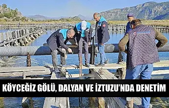 Köyceğiz Gölü, Dalyan ve İztuzu'nda denetim