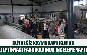 Köyceğiz Kaymakamı Kumcu, zeytinyağı fabrikasında inceleme yaptı