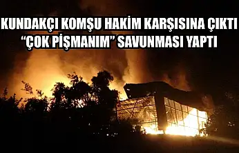 Kundakçı komşu hakim karşısına çıktı: 'Çok pişmanım' savunması yaptı