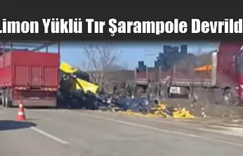 Limon Yüklü Tır Şarampole Devrildi