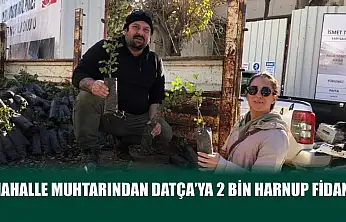 Mahalle muhtarından Datça'ya 2 bin harnup fidanı