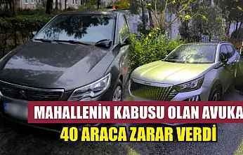 Mahallenin kabusu olan avukat 40 araca zarar verdi