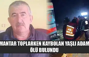 Mantar toplarken kaybolan yaşlı adam ölü bulundu