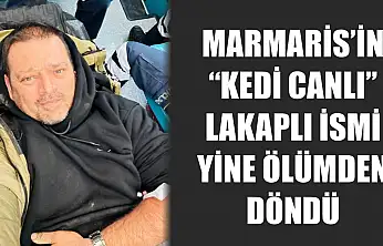 Marmaris'in 'kedi canlı' lakaplı ismi yine ölümden döndü