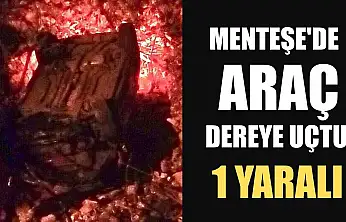 Menteşe'de araç dereye uçtu: 1 yaralı