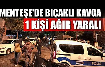 Menteşe'de bıçaklı kavga:1 kişi ağır yaralı
