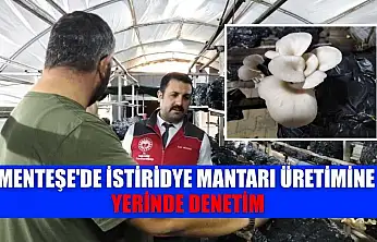 Menteşe'de istiridye mantarı üretimine yerinde denetim