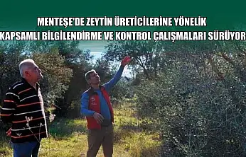 Menteşe'de zeytin üreticilerine yönelik kapsamlı bilgilendirme ve kontrol çalışmaları sürüyor
