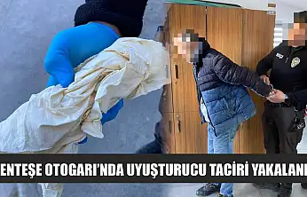 Menteşe Otogarı'nda uyuşturucu taciri yakalandı