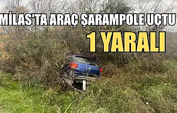 Milas'ta araç şarampole uçtu: 1 yaralı