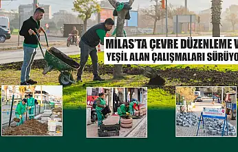 Milas'ta Çevre Düzenleme ve Yeşil Alan Çalışmaları Sürüyor