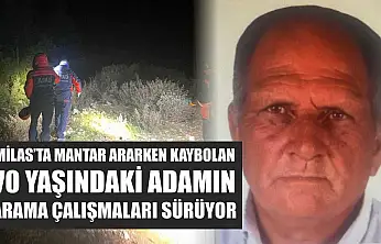 Milas'ta mantar ararken kaybolan 70 yaşındaki adamın arama çalışmaları sürüyor