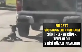 Milas'ta vicdansızlık kamerada: Sürüklenen köpek telef oldu, 2 kişi gözaltına alındı