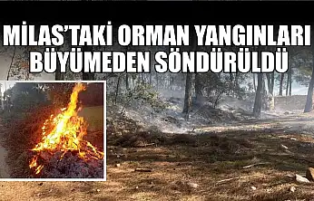 Milas'taki orman yangınları büyümeden söndürüldü