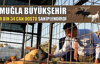 Muğla Büyükşehir 4 bin 34 can dostu sahiplendirdi