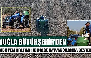 Muğla Büyükşehir'den Kaba Yem Üretimi ile Bölge Hayvancılığına Destek