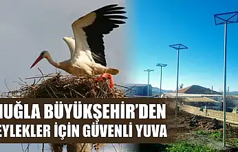 Muğla Büyükşehir'den Leylekler İçin Güvenli Yuva