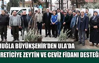 Muğla Büyükşehir'den Ula'da Üreticiye Zeytin ve Ceviz Fidanı Desteği