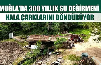 Muğla'da 300 yıllık su değirmeni hala çarklarını döndürüyor