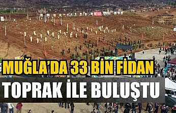 Muğla'da 33 bin fidan toprak ile buluştu