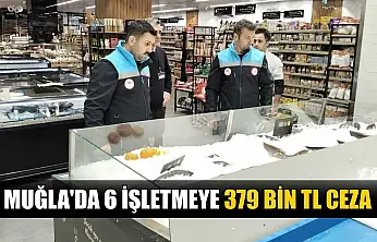 Muğla'da 6 işletmeye 379 bin TL ceza