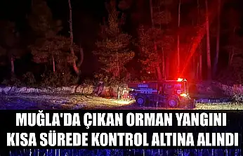 Muğla'da çıkan orman yangını kısa sürede kontrol altına alındı
