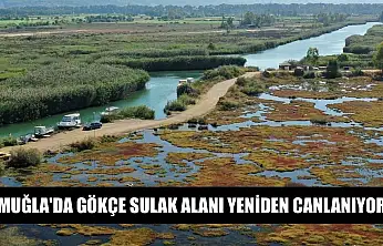 Muğla'da Gökçe Sulak alanı yeniden canlanıyor