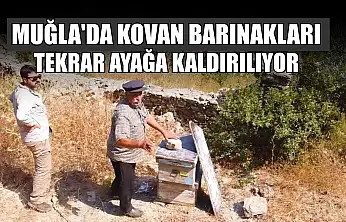 Muğla'da kovan barınakları tekrar ayağa kaldırılıyor