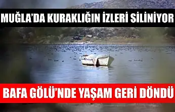 Muğla'da kuraklığın izleri siliniyor: Bafa Gölü'nde yaşam geri döndü