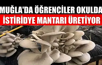 Muğla'da öğrenciler okulda istiridye mantarı üretiyor
