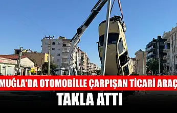 Muğla'da otomobille çarpışan ticari araç takla attı