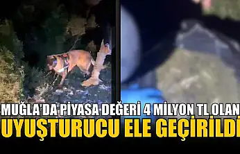 Muğla'da piyasa değeri 4 milyon TL olan uyuşturucu ele geçirildi