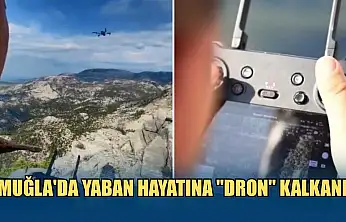 Muğla'da yaban hayatına 'dron' kalkanı