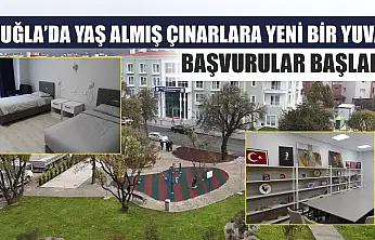 Muğla'da Yaş Almış Çınarlara Yeni Bir Yuva: Başvurular Başladı